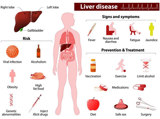 information chart for liver cancer