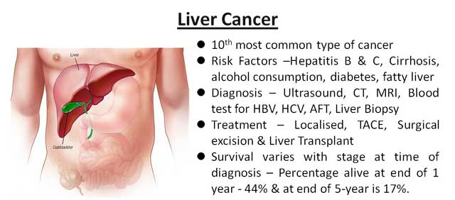 salient features of liver cancer