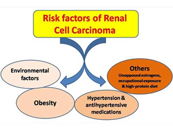 risk factors for renal cell cancer