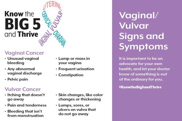signs and symptoms of vaginal and vulvar cancer